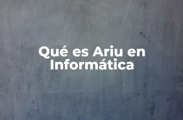Qué es Ariu en Informática