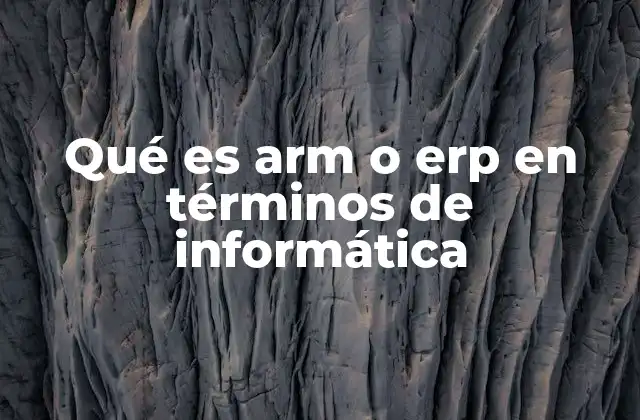 Qué es Arm o Erp en Términos de Informática