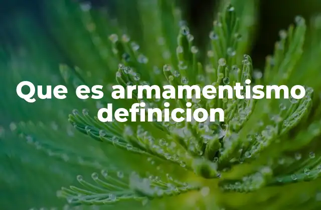 Que es Armamentismo Definicion