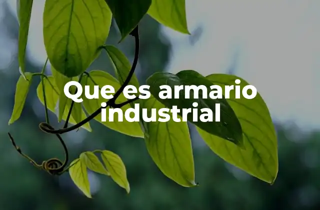 Que es Armario Industrial