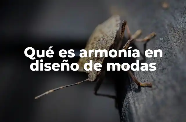 Qué es Armonía en Diseño de Modas