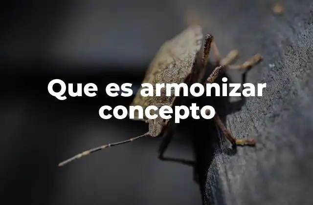 Que es Armonizar Concepto