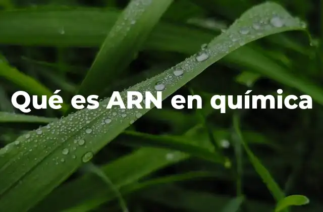 Qué es Arn en Química