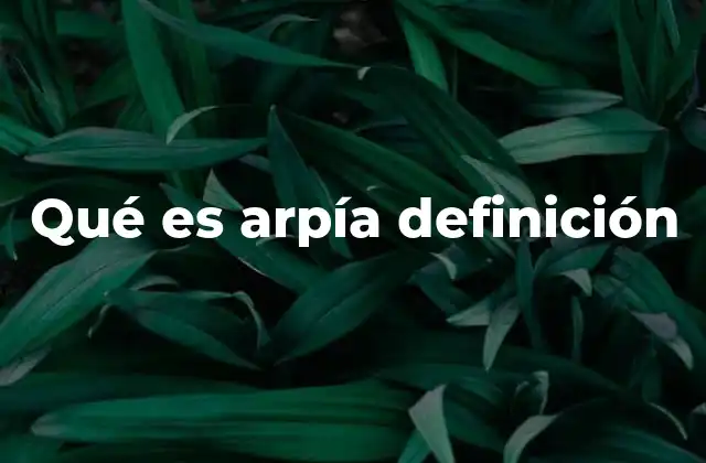 Qué es Arpía Definición