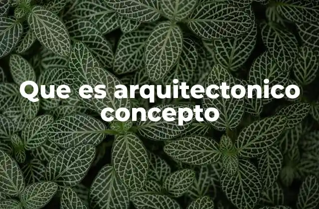 Que es Arquitectonico Concepto