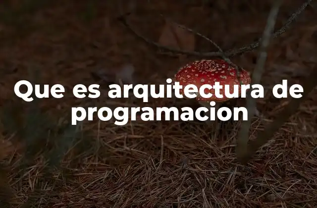 Que es Arquitectura de Programacion