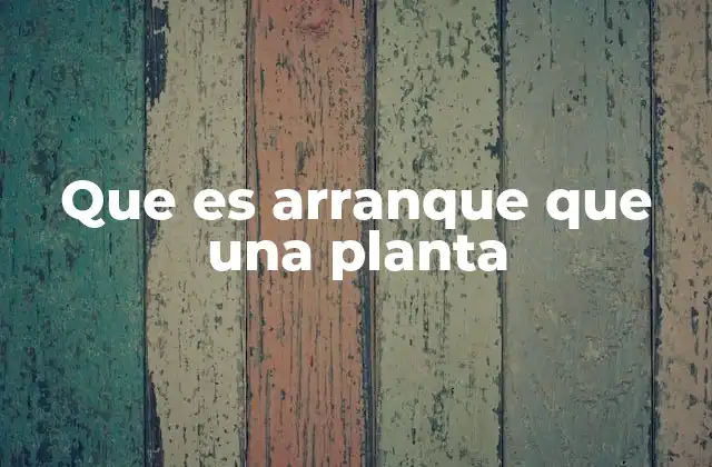 Que es Arranque que una Planta