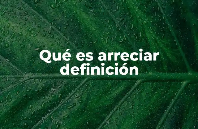 Qué es Arreciar Definición