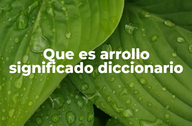 Que es Arrollo Significado Diccionario 2 El uso y contexto de términos no estándar en el español