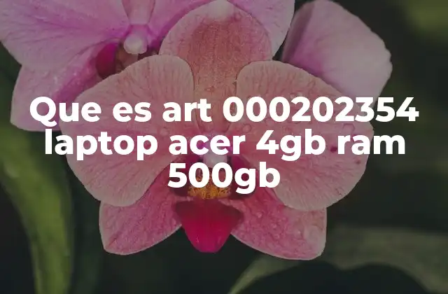 Que es Art 000202354 Laptop Acer 4gb Ram 500gb