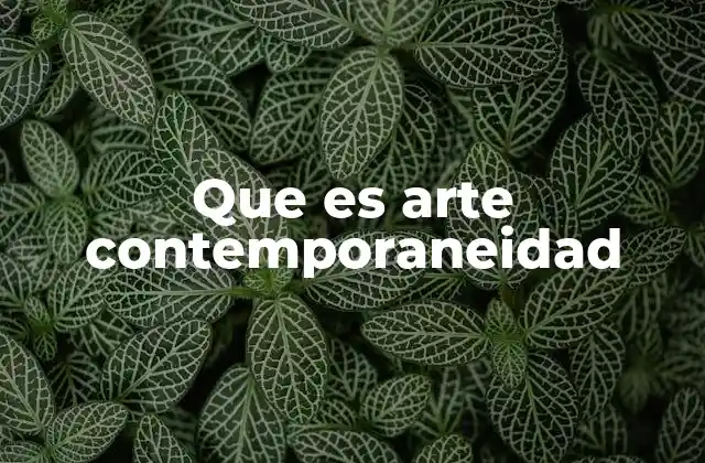 Que es Arte Contemporaneidad