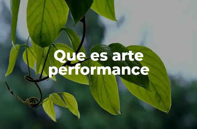Que es Arte Performance