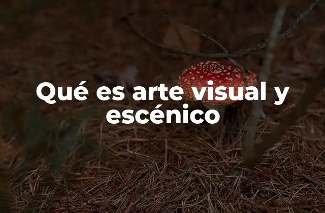 Qué es Arte Visual y Escénico