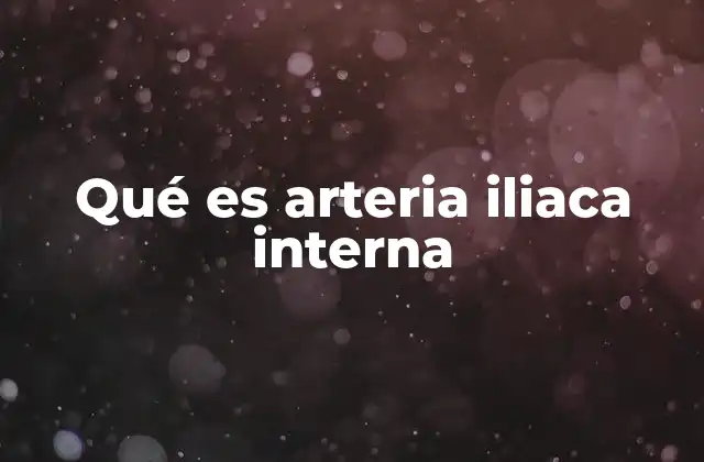 Qué es Arteria Iliaca Interna
