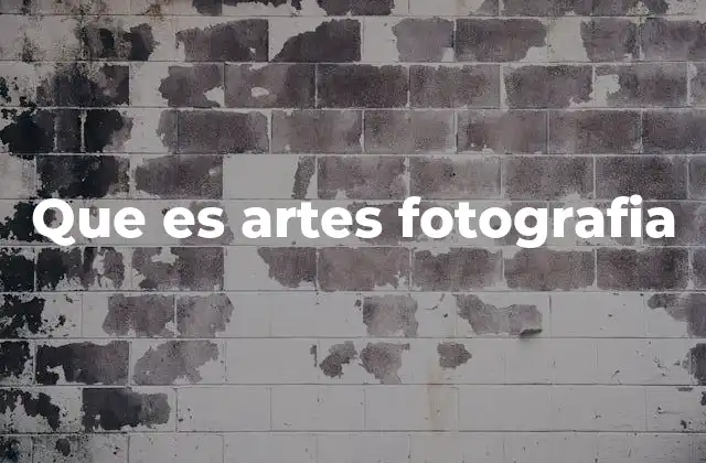 Que es Artes Fotografia