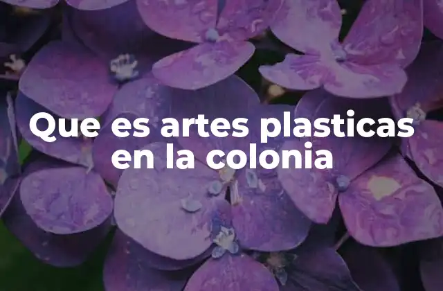 Que es Artes Plasticas en la Colonia 2 El arte colonial como expresión de poder y fe