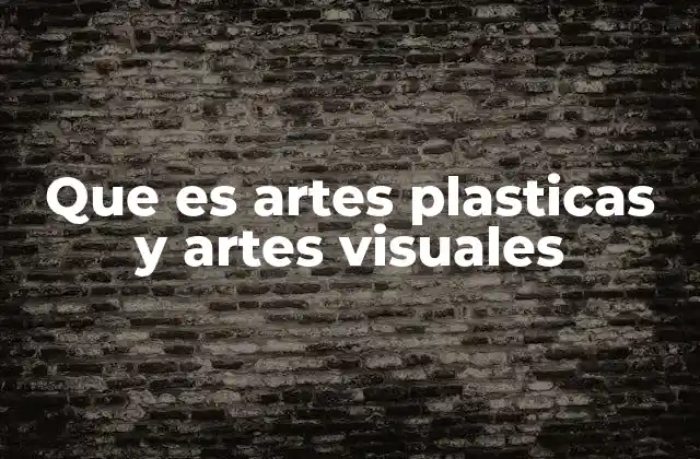 Que es Artes Plasticas y Artes Visuales