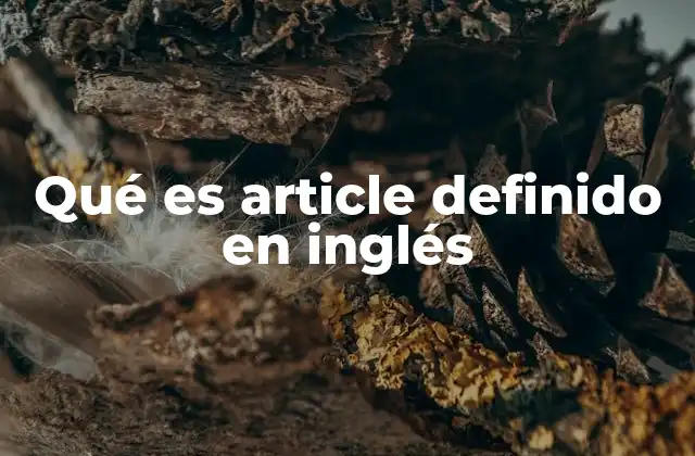 Qué es Article Definido en Inglés