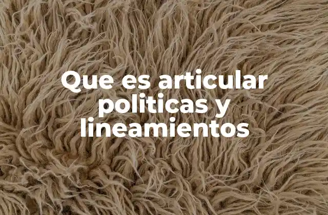 Que es Articular Politicas y Lineamientos 2 La importancia de alinear estrategias en entornos organizacionales