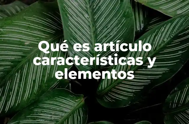 Qué es Artículo Características y Elementos