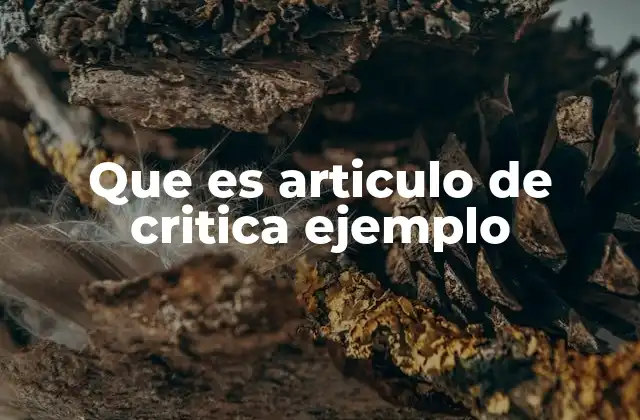 Que es Articulo de Critica Ejemplo