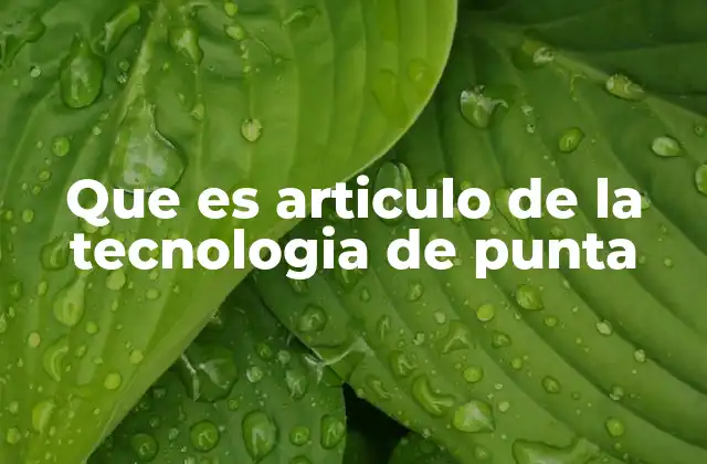 Que es Articulo de la Tecnologia de Punta