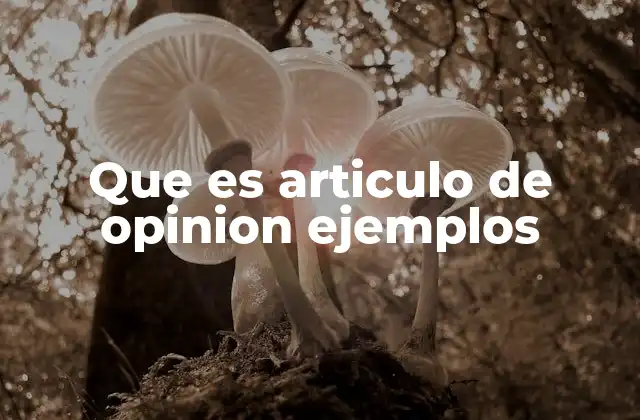 Que es Articulo de Opinion Ejemplos