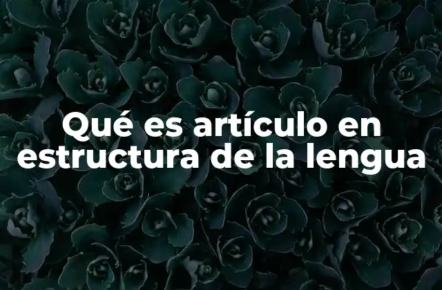 Qué es Artículo en Estructura de la Lengua