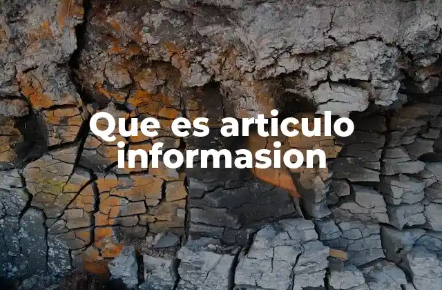 Que es Articulo Informasion