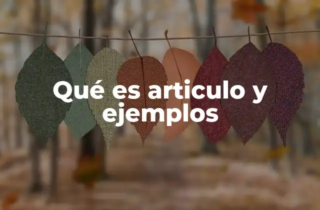Qué es Articulo y Ejemplos