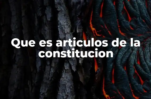 Que es Articulos de la Constitucion