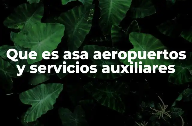 Que es Asa Aeropuertos y Servicios Auxiliares