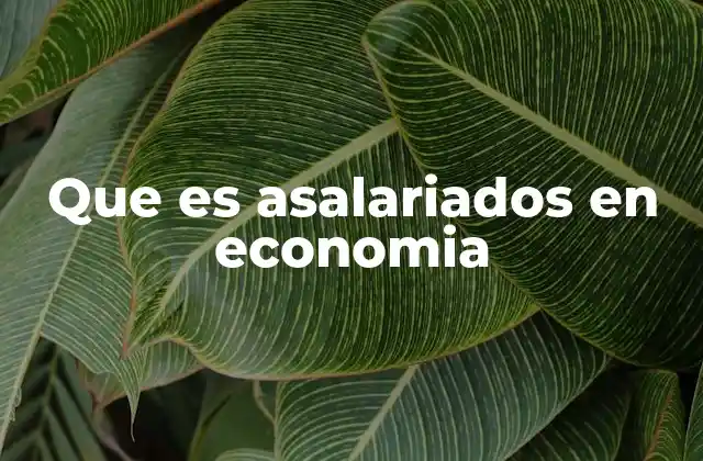 Que es Asalariados en Economia