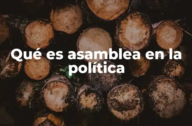 Qué es Asamblea en la Política
