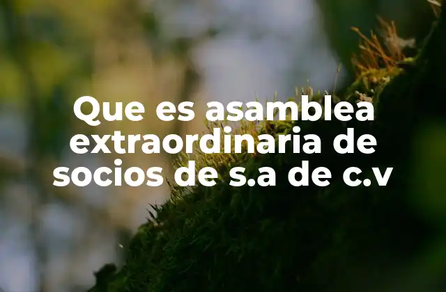 Que es Asamblea Extraordinaria de Socios de S.a de C.v