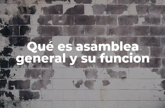 La importancia de la participación en la toma de decisiones