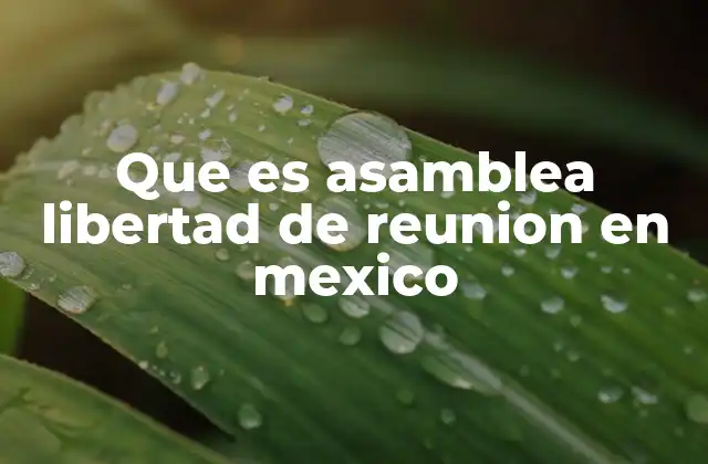 Que es Asamblea Libertad de Reunion en Mexico 2 La importancia de la participación colectiva en la democracia mexicana