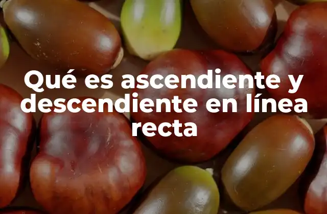 Qué es Ascendiente y Descendiente en Línea Recta