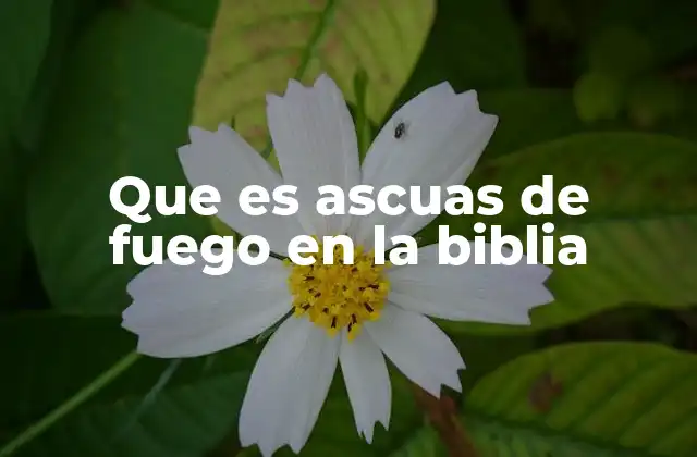 Que es Ascuas de Fuego en la Biblia