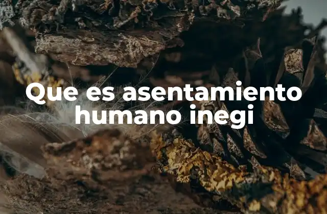 Que es Asentamiento Humano Inegi