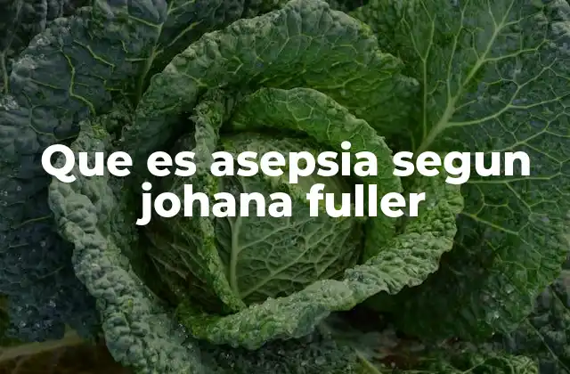 Que es Asepsia Segun Johana Fuller