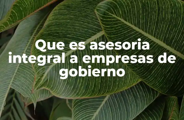 Que es Asesoria Integral a Empresas de Gobierno