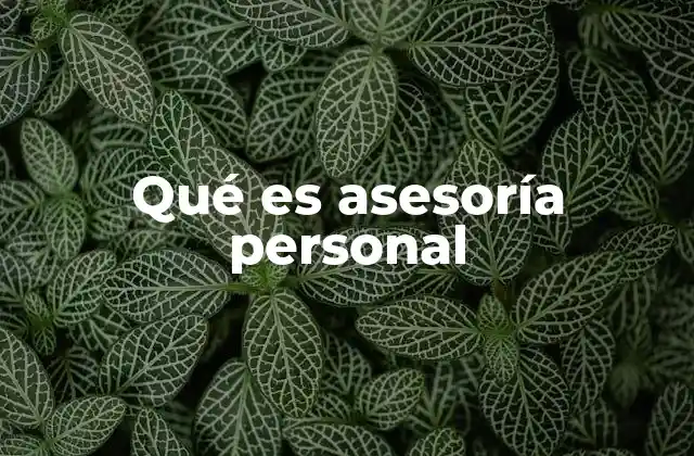 Qué es Asesoría Personal