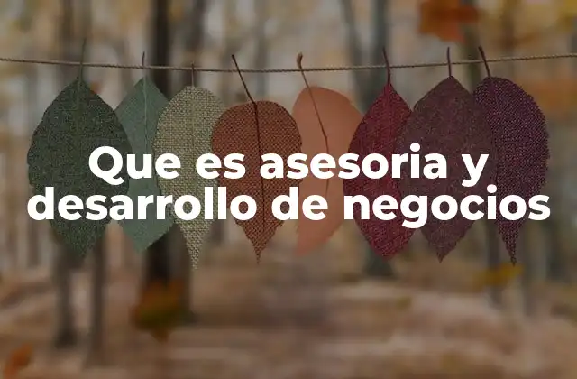 Que es Asesoria y Desarrollo de Negocios