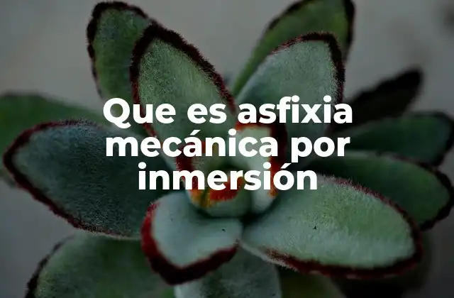 Que es Asfixia Mecánica por Inmersión