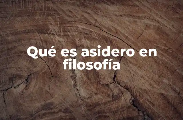 Qué es Asidero en Filosofía
