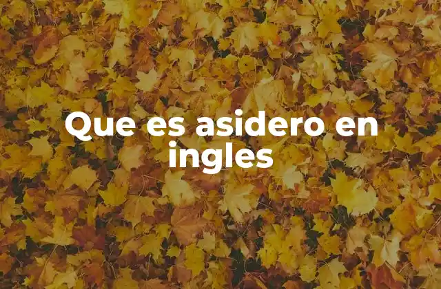 Que es Asidero en Ingles