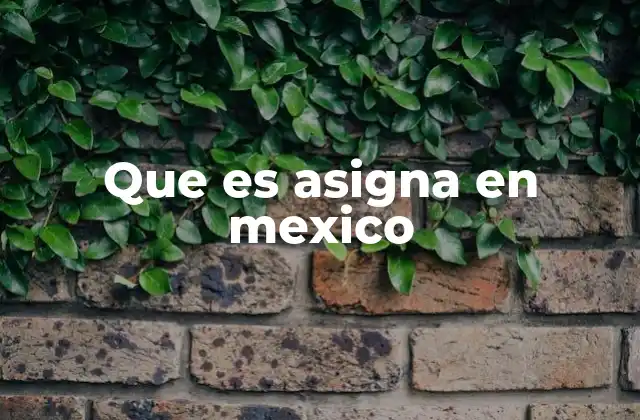 Que es Asigna en Mexico