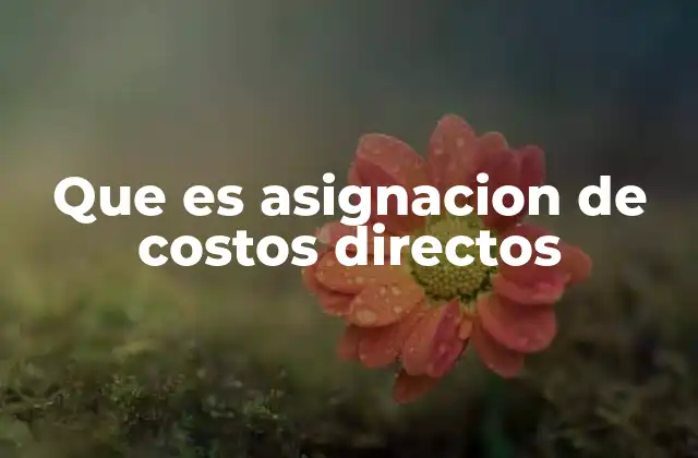 Que es Asignacion de Costos Directos