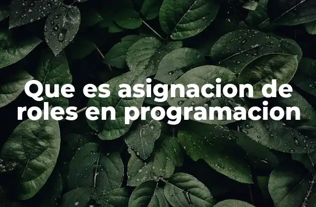 Que es Asignacion de Roles en Programacion